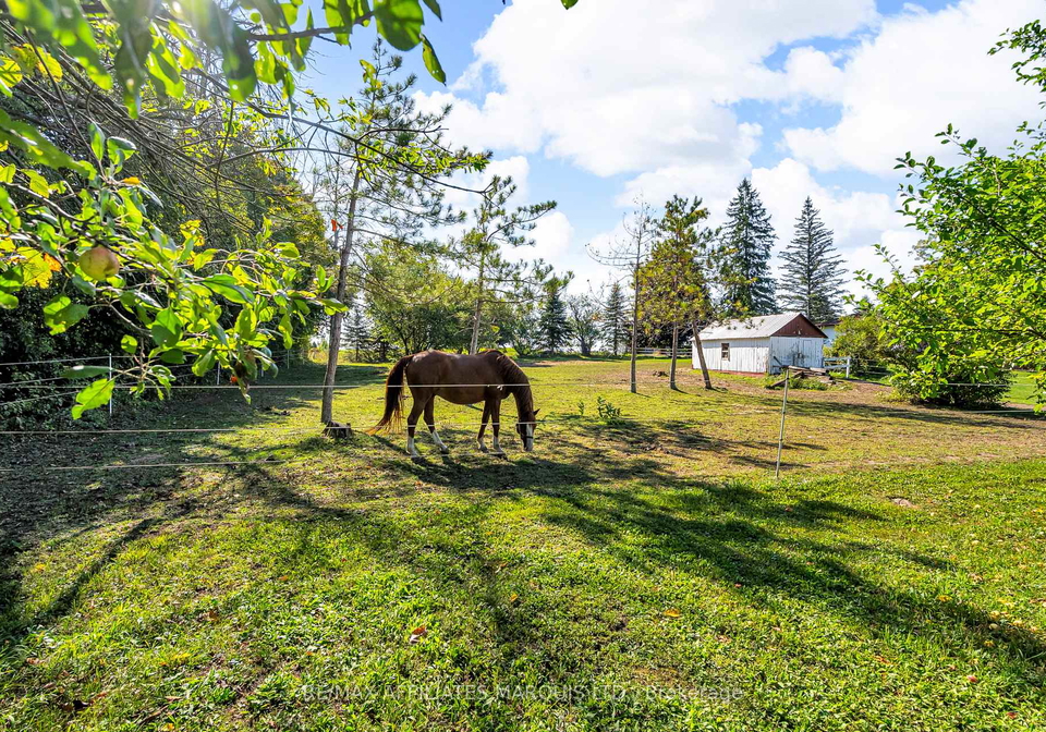 18659-county-road-19-south-glengarry-ontario-x12404033