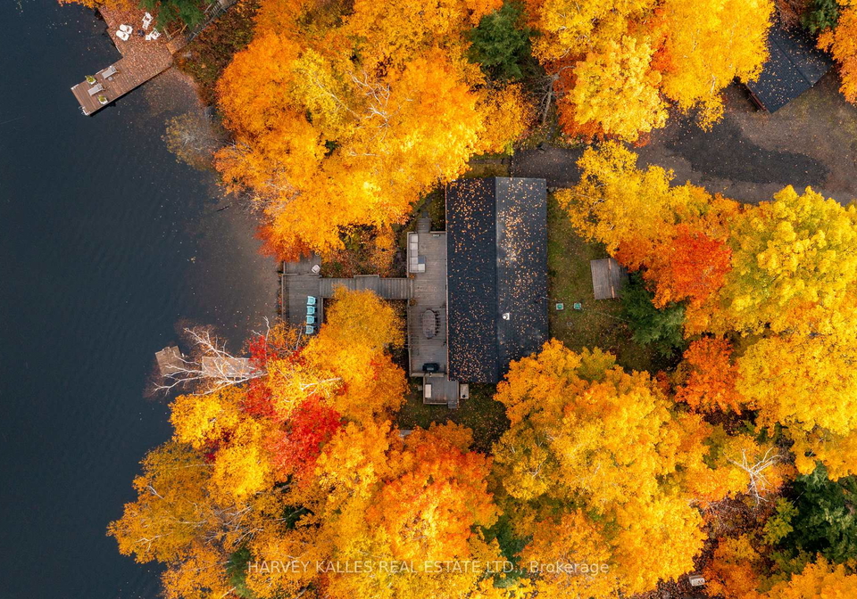1149-kendon-road-muskoka-lakes-ontario-x12404366
