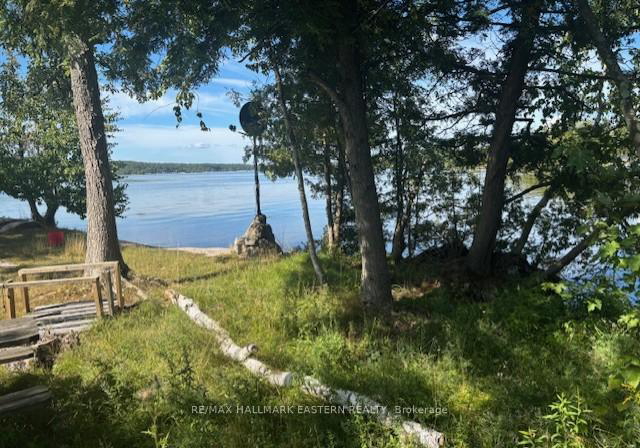 10-fire-route-14b-trent-lakes-ontario-x12405880