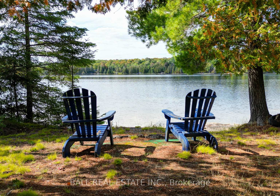 226-peter-lane-wollaston-ontario-x12407613