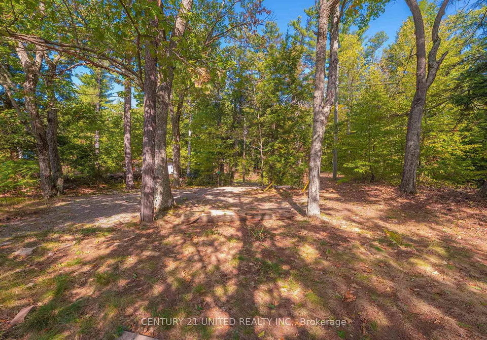 20-fire-route-147-trent-lakes-ontario-x12408936