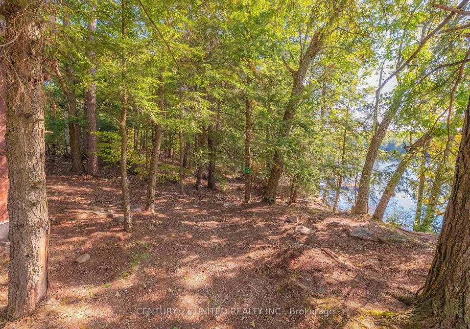 20-fire-route-147-trent-lakes-ontario-x12408936