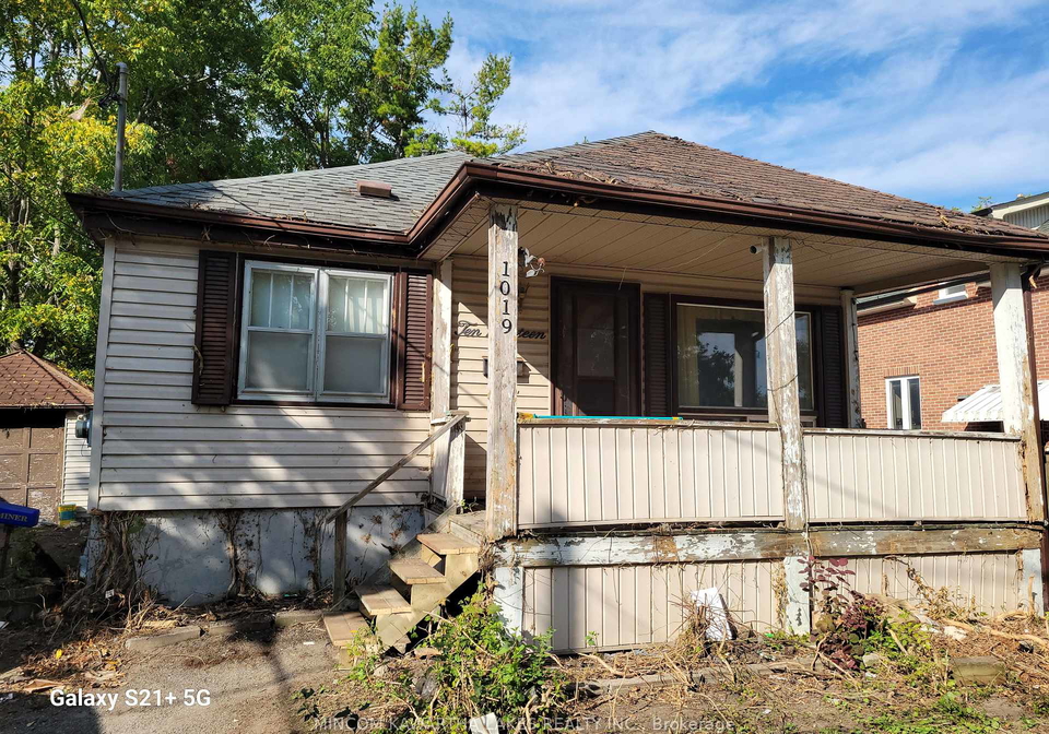 1019-brewer-street-peterborough-ontario-x12409953
