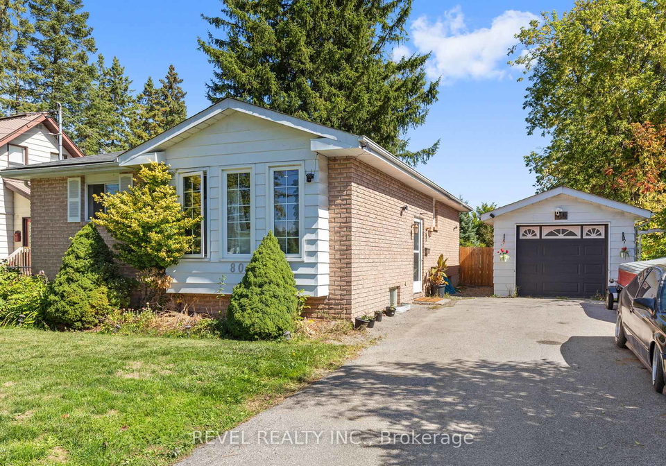 80-st-patrick-street-kawartha-lakes-ontario-x12410957