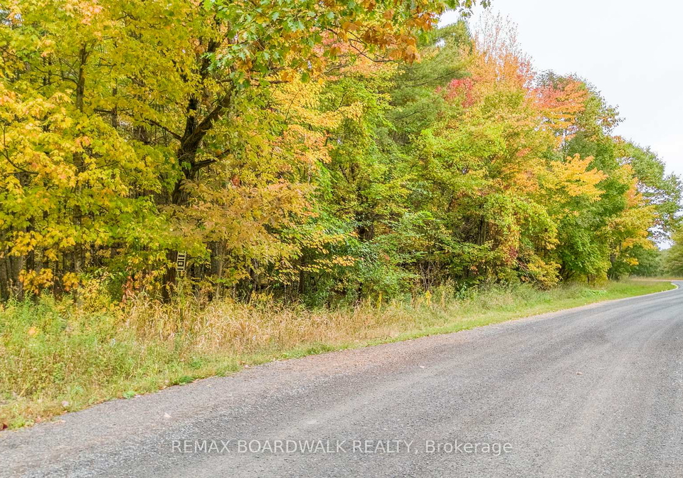 lot-132-ramsay-con-3c-road-mississippi-mills-ontario-x12412092