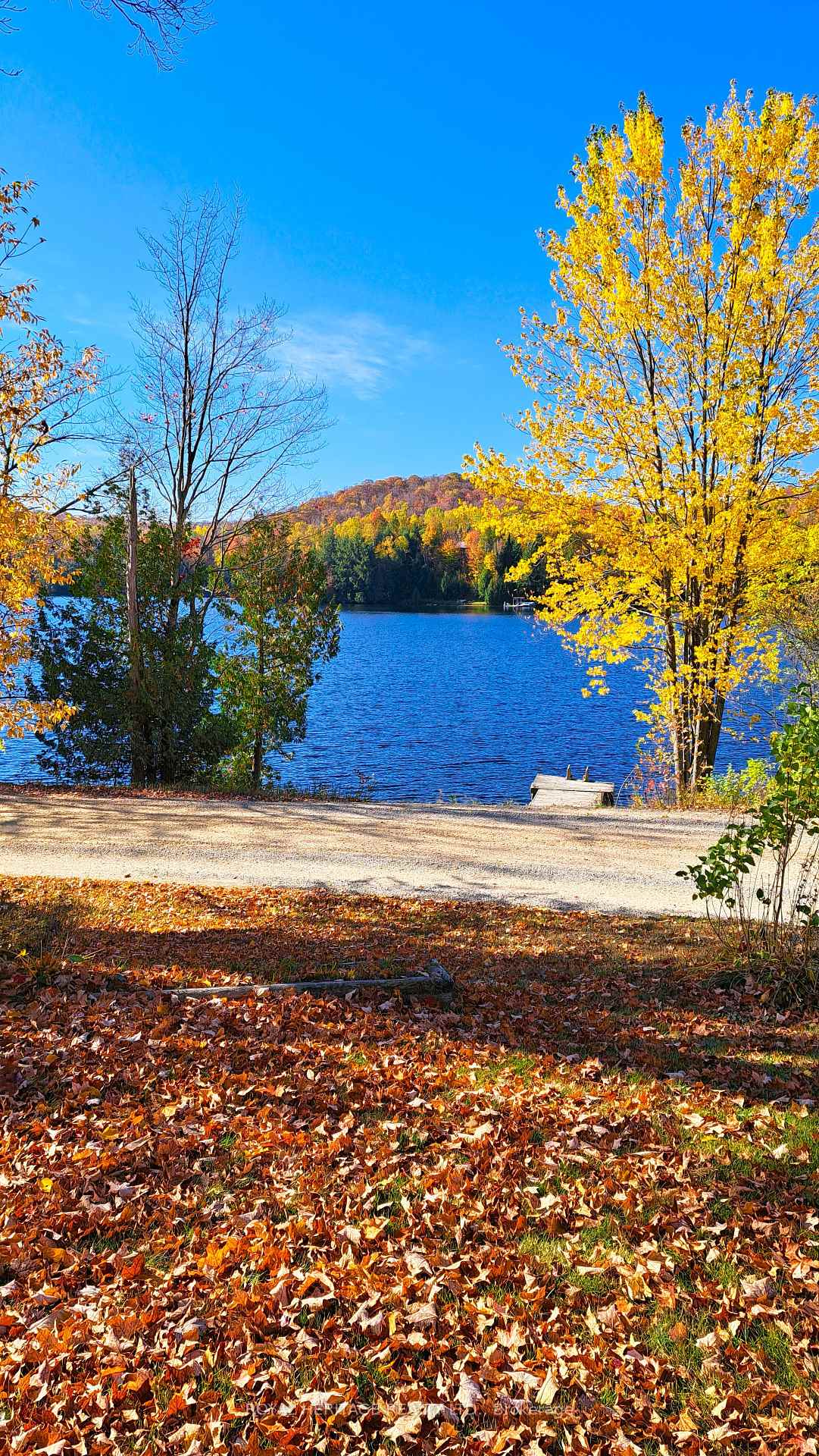 256-trout-lake-road-faraday-ontario-x12412586