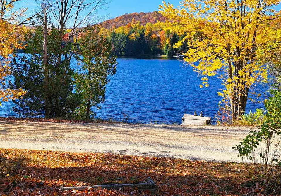 256-trout-lake-road-faraday-ontario-x12412586