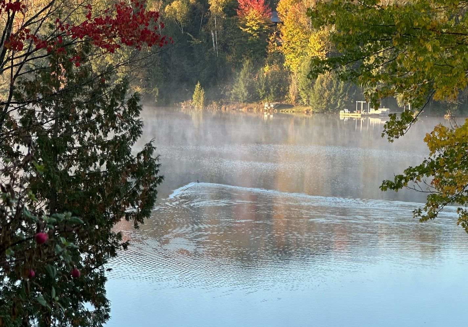 256-trout-lake-road-faraday-ontario-x12412586