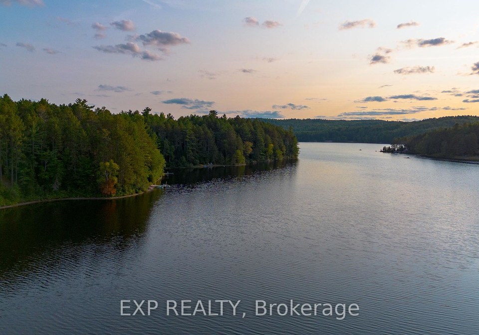 1301-dombroskie-road-madawaska-valley-ontario-x12413074