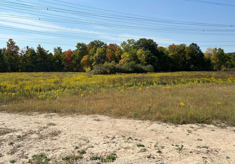 5-columbus-court-central-elgin-ontario-x12413111