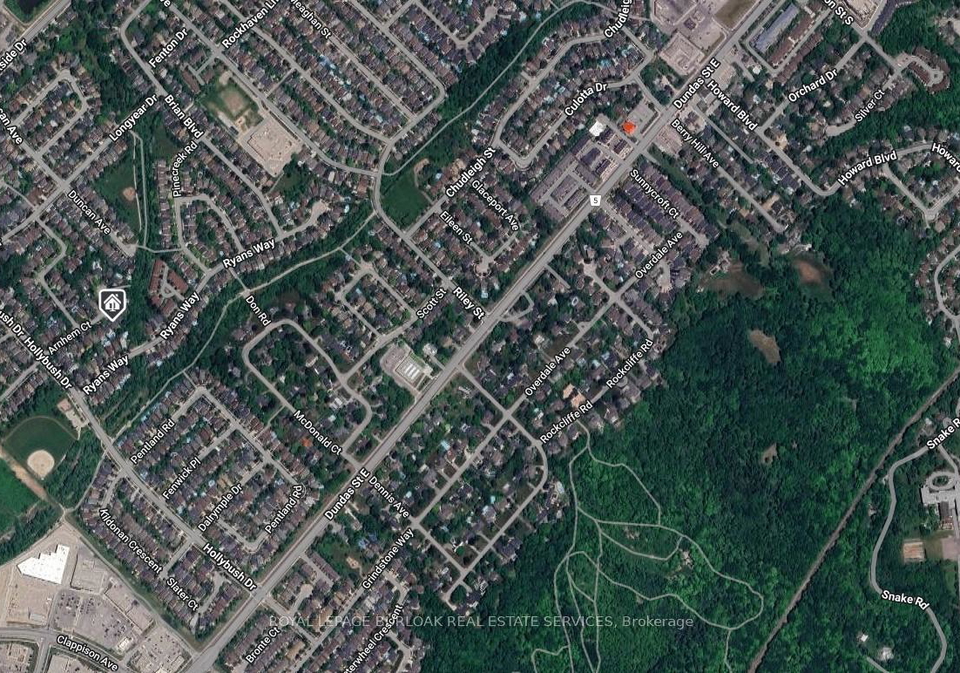 16-arnhem-court-hamilton-ontario-x12413817