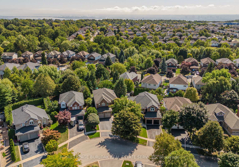 16-arnhem-court-hamilton-ontario-x12413817