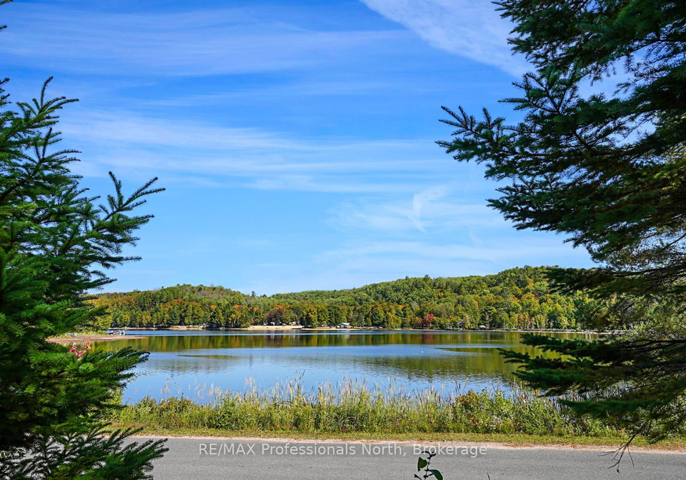 1093-dark-lake-road-highlands-east-ontario-x12414297