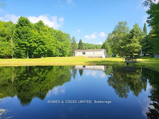 56-otter-lake-road-faraday-ontario-x12414596