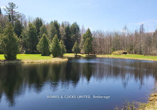 56-otter-lake-road-faraday-ontario-x12414596