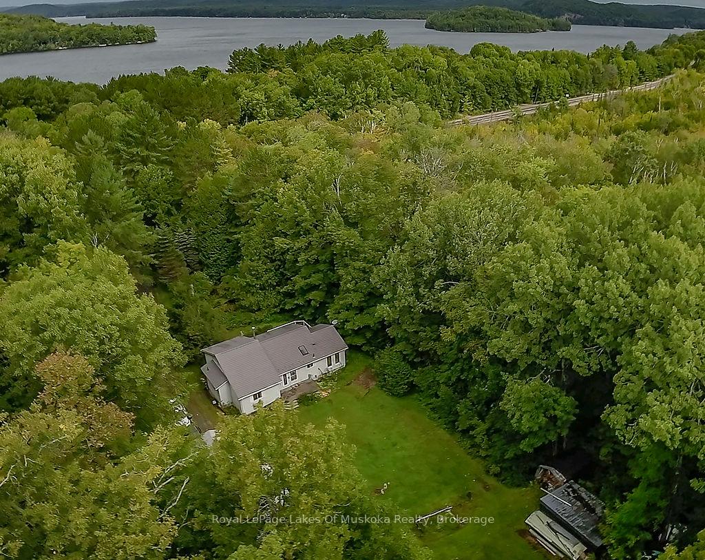 4244-muskoka-road-117-lake-of-bays-ontario-x12414876