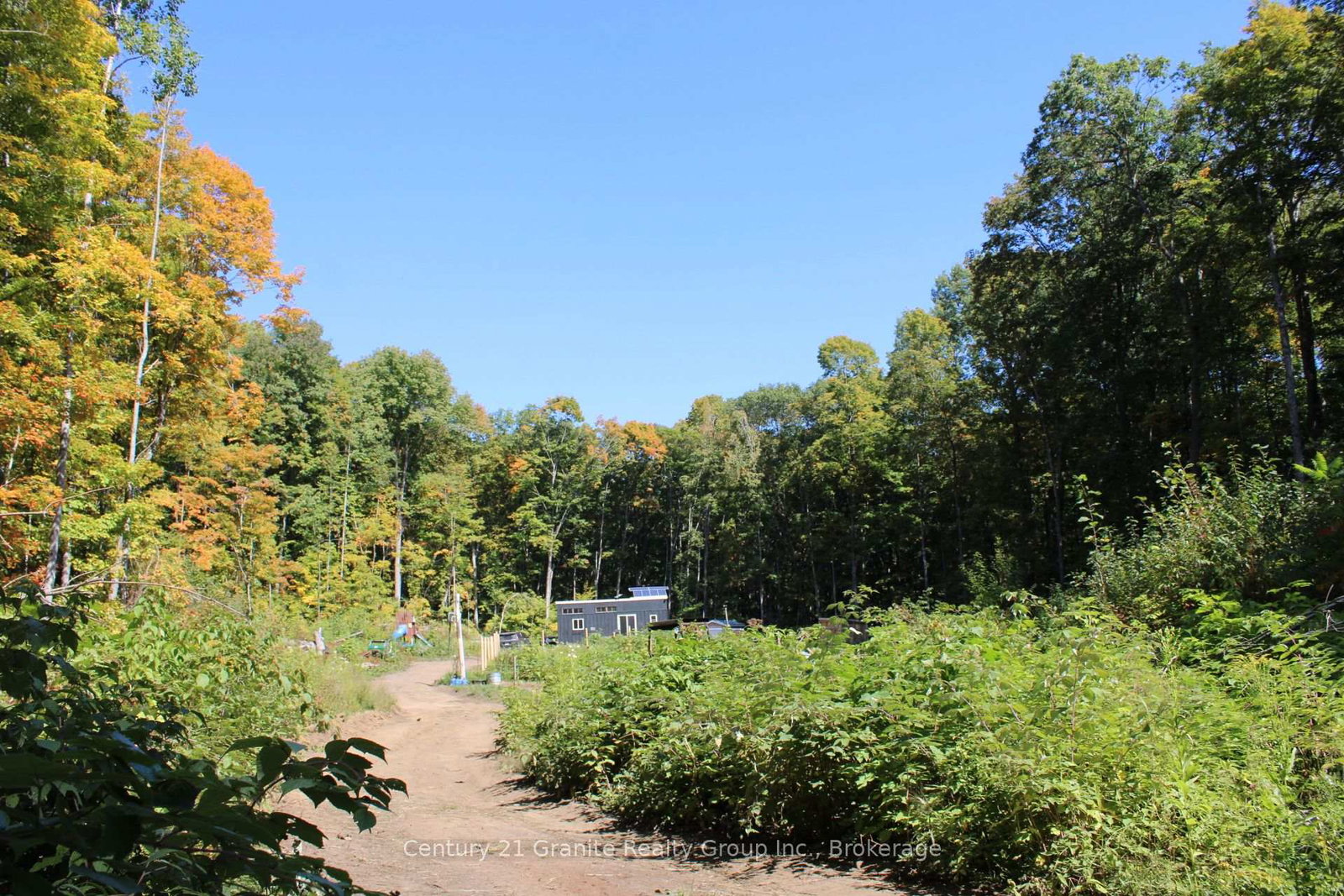 1295-binscarth-trail-dysart-et-al-ontario-x12416068