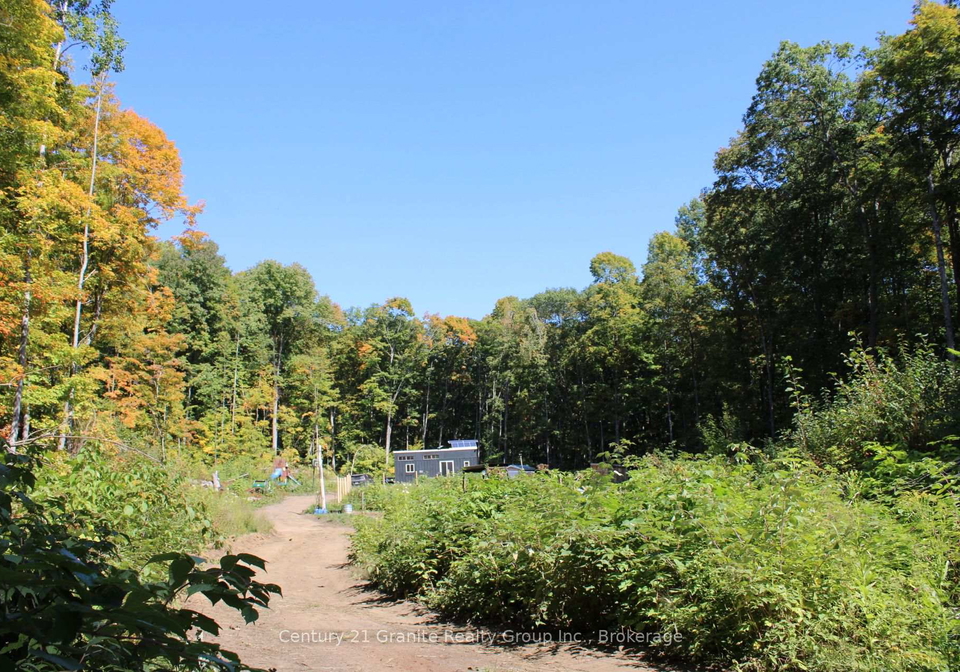 1295-binscarth-trail-dysart-et-al-ontario-x12416068