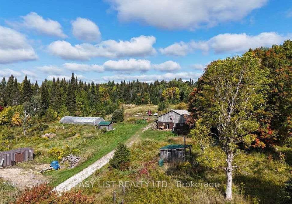 2170-highway-520-w-ryerson-ontario-x12417643