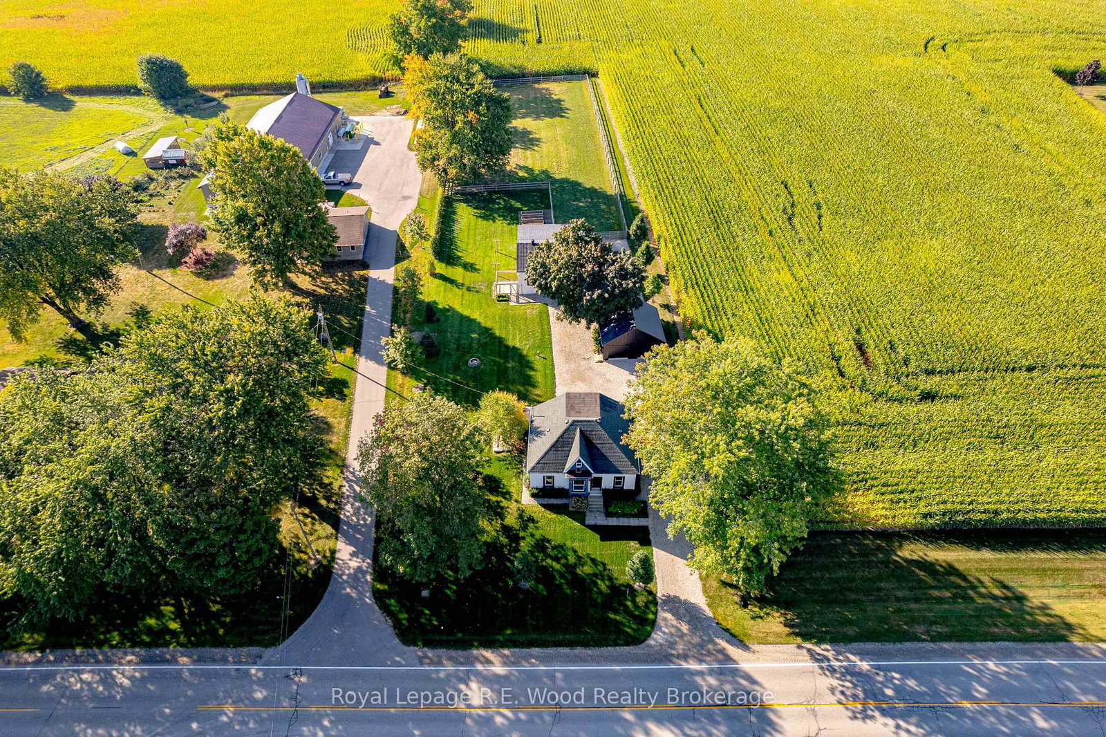 355-harley-road-brant-ontario-x12419233