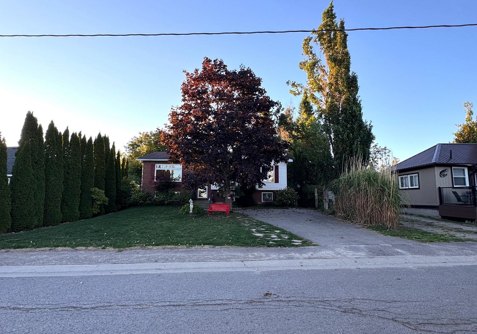 159-hazel-street-kawartha-lakes-ontario-x12422002