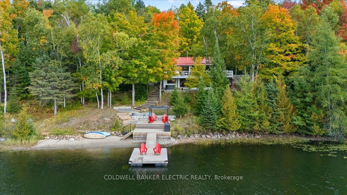 37-fire-route-296-trent-lakes-ontario-x12423199