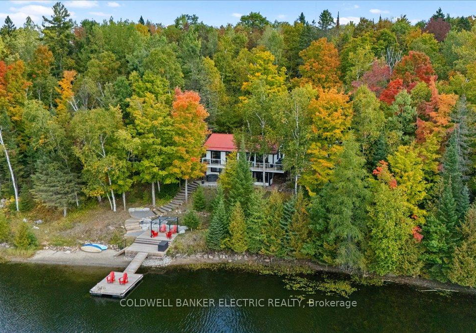 37-fire-route-296-trent-lakes-ontario-x12423199