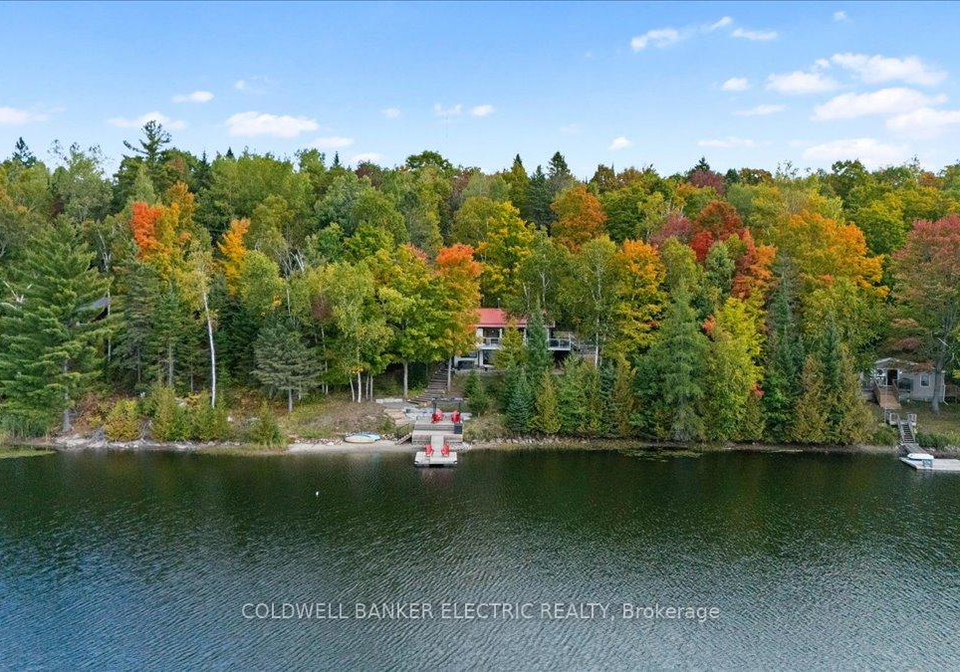 37-fire-route-296-trent-lakes-ontario-x12423199