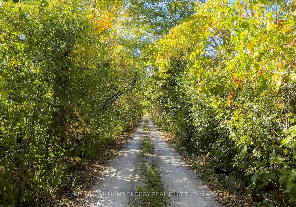215-fry-road-prince-edward-county-ontario-x12423342