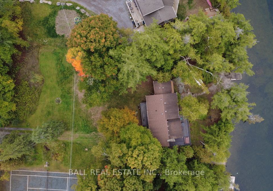 190-maple-lane-north-kawartha-ontario-x12425431