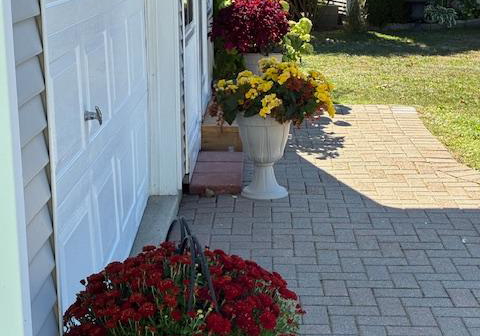 10-reynolds-place-w-prince-edward-county-ontario-x12426495