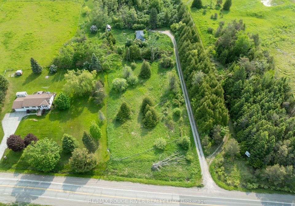 15-capstick-road-kawartha-lakes-ontario-x12428255