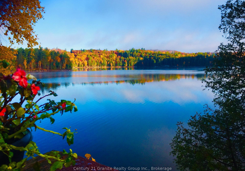 1208-regs-trail-dysart-et-al-ontario-x12429515
