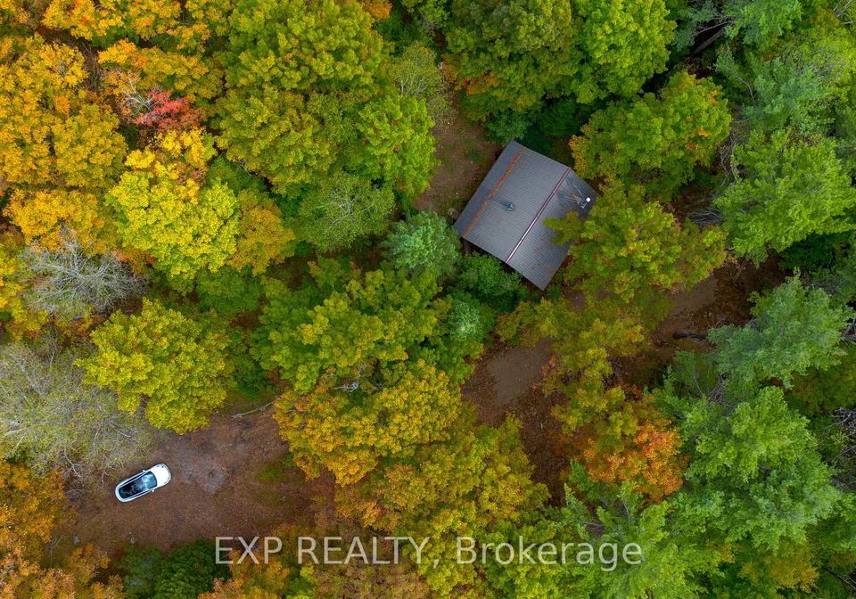 10282-county-road-503-highlands-east-ontario-x12433322