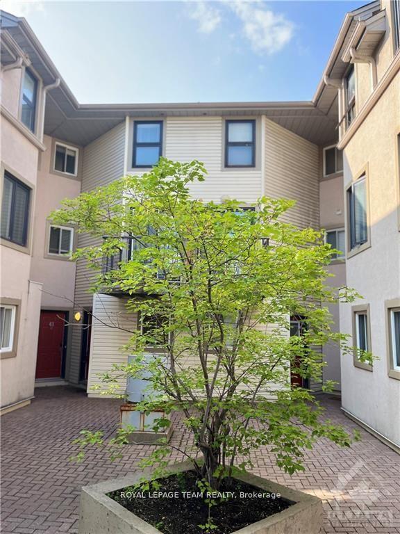 41-anderson-street-ottawa-ontario-x12434011