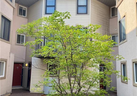 41-anderson-street-ottawa-ontario-x12434011