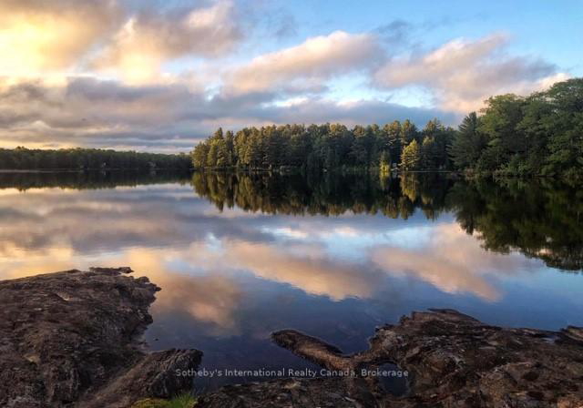 463-otter-lake-road-huntsville-ontario-x12434776