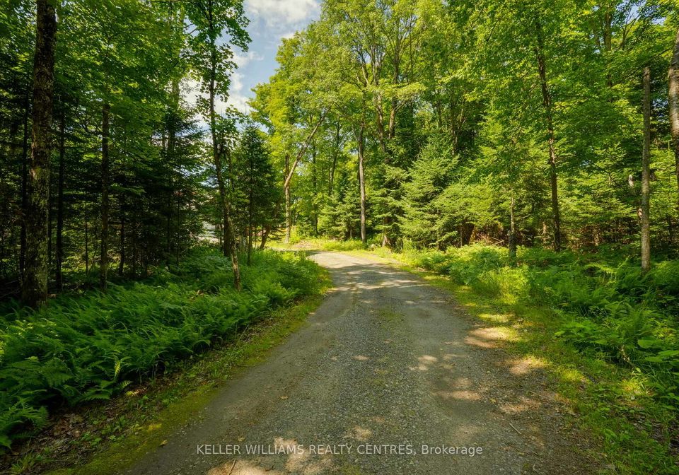 96-lindgren-road-e-huntsville-ontario-x12435077