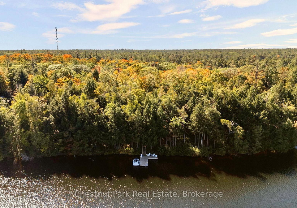 10-taylor-26lm10-island-gravenhurst-ontario-x12436026