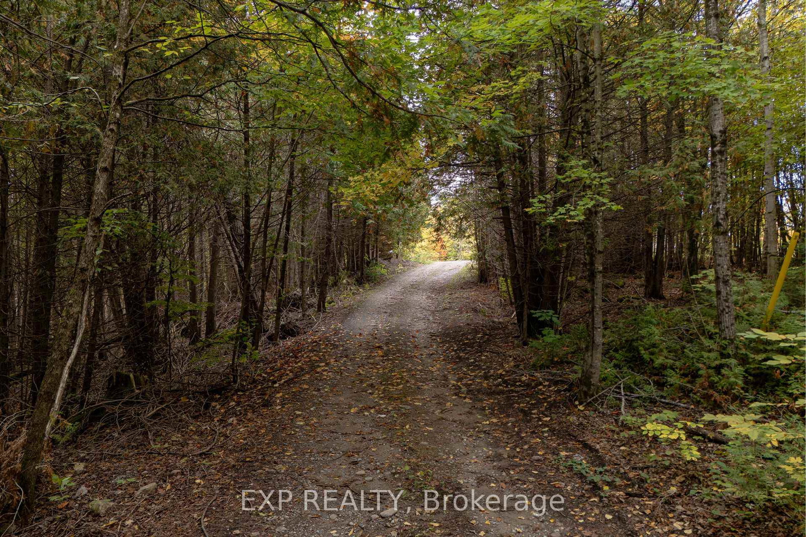 1083-county-road-6-douro-dummer-ontario-x12436774