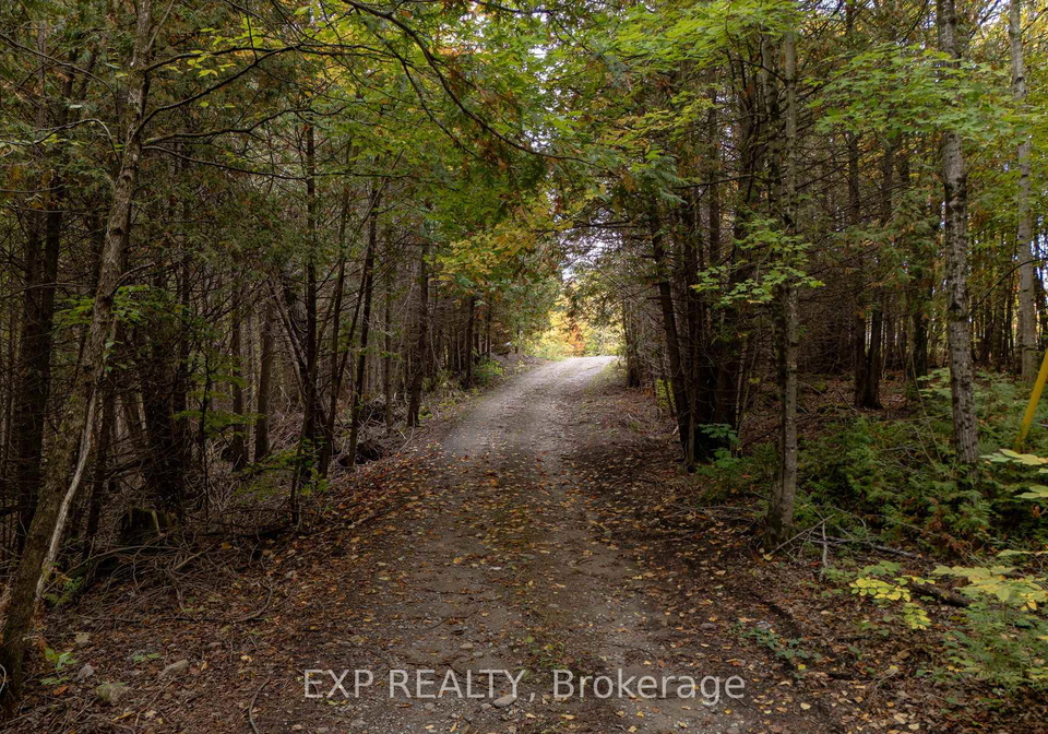 1083-county-road-6-douro-dummer-ontario-x12436774