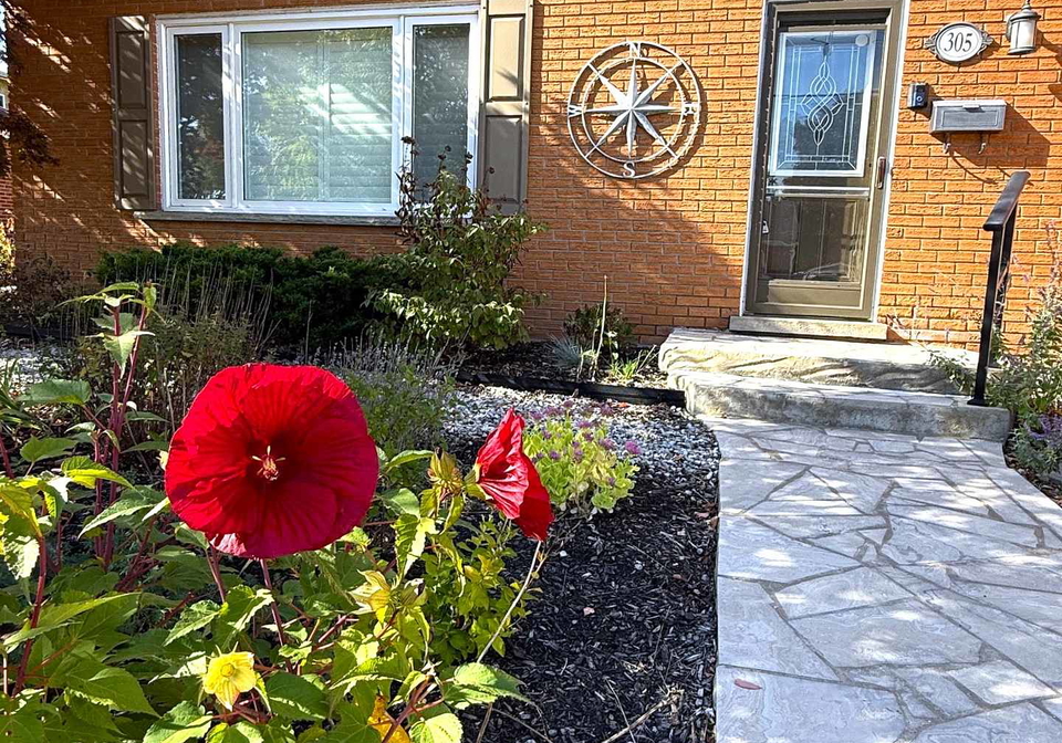 305-st-leger-street-kitchener-ontario-x12437880