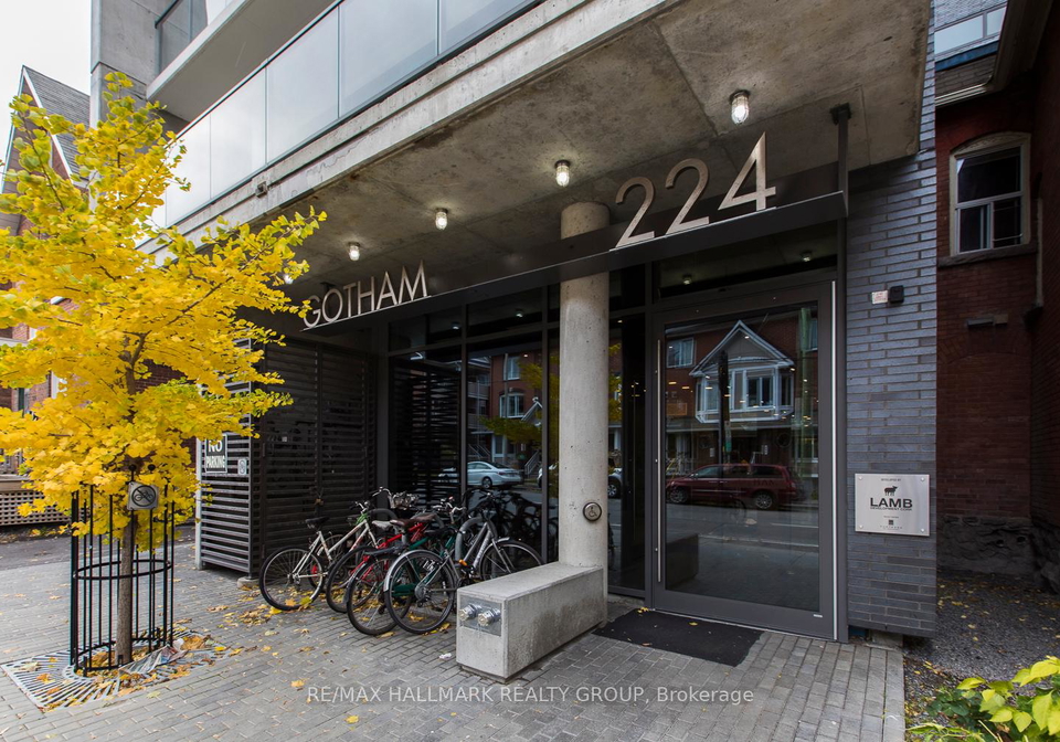 224-lyon-street-n-ottawa-ontario-x12439335