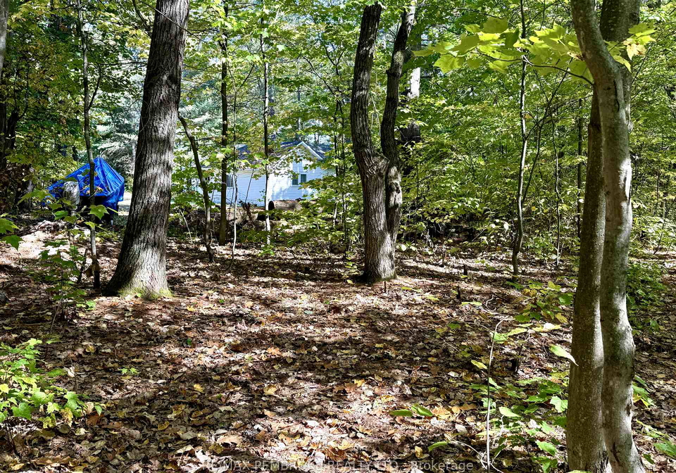 18-amy-lane-petawawa-ontario-x12440323