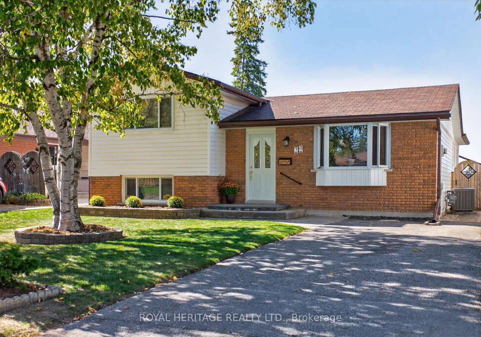 29-rideau-crescent-peterborough-ontario-x12440822
