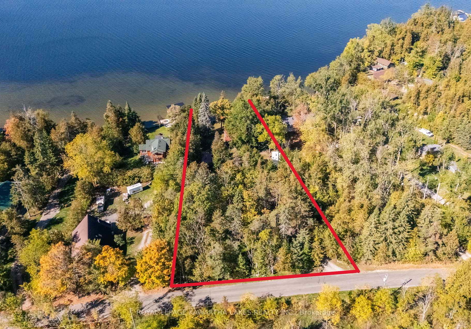 54-romany-ranch-road-kawartha-lakes-ontario-x12442088