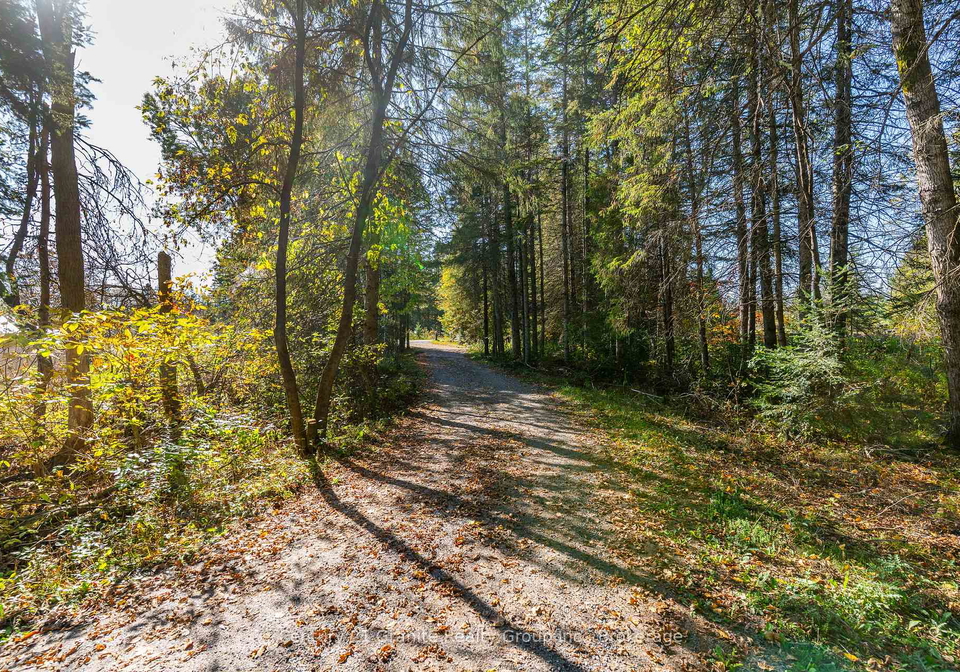 4739-gelert-road-minden-hills-ontario-x12443105