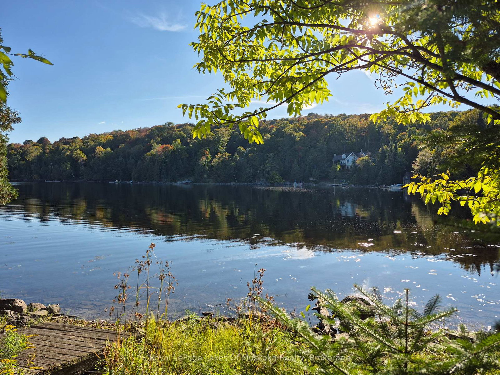 1236-grace-road-minden-hills-ontario-x12444636