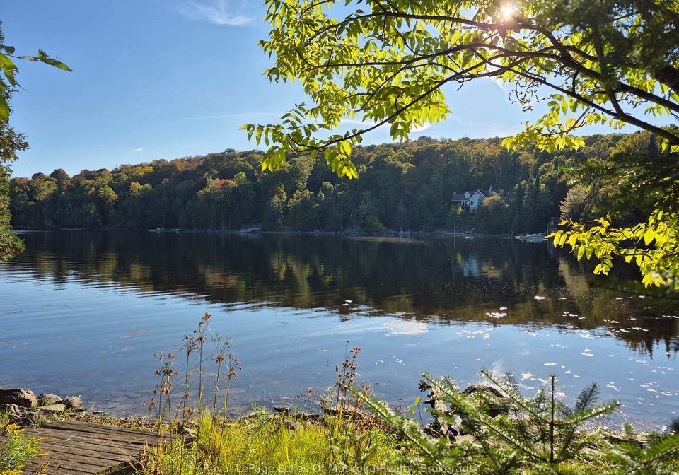 1236-grace-road-minden-hills-ontario-x12444636