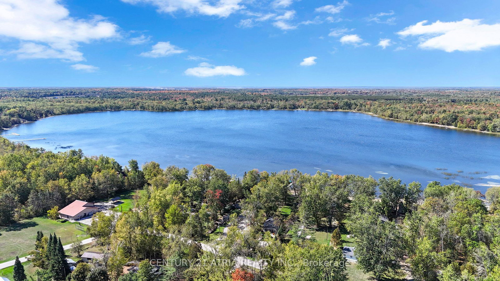 14-young-street-kawartha-lakes-ontario-x12445807